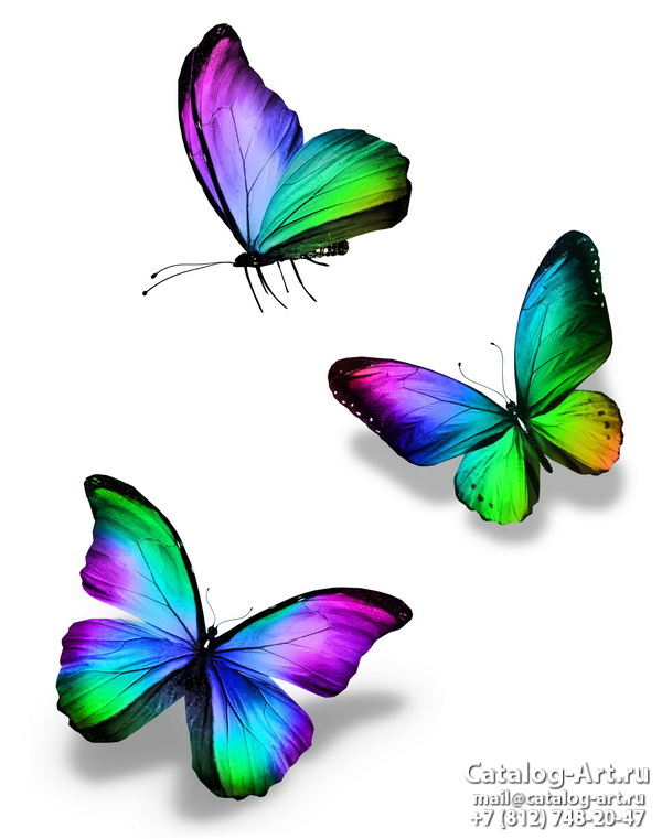  Butterflies 133